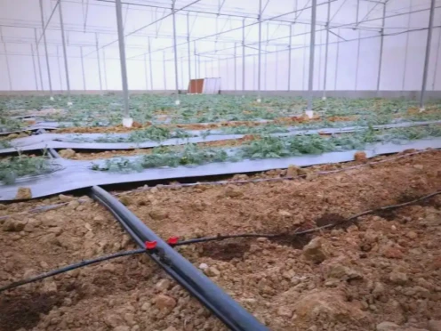 HDPE Drip Irrigation Pipe HDPE Drip Irrigation Pipe